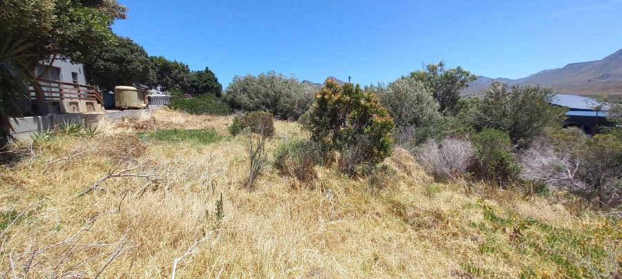 0 Bedroom Property for Sale in Pringle Bay Western Cape